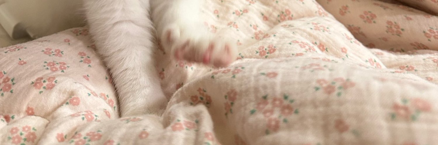 — ตจ ' 🌷🐰 banner