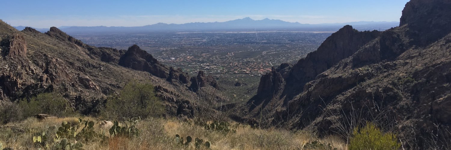 JoesDiscGolf's profile banner image