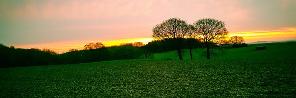 PeterUntappd Profile Banner