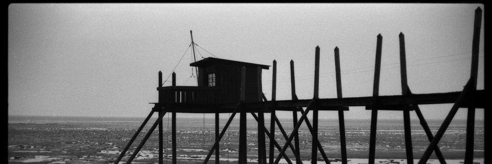 Sylvain BRUNO banner