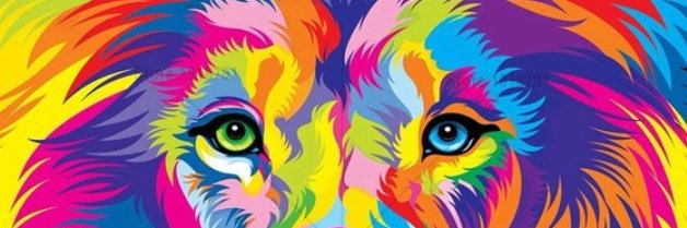 BeelenRivera's profile banner image