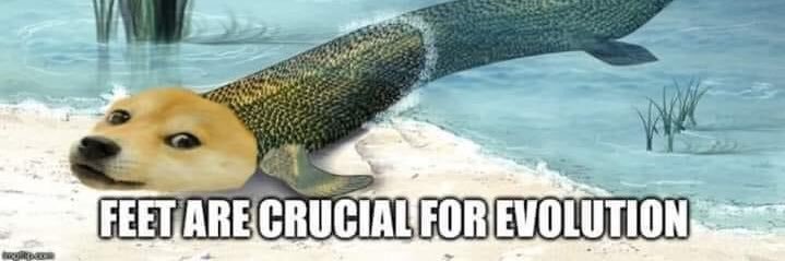 Mitchell Broadbent banner