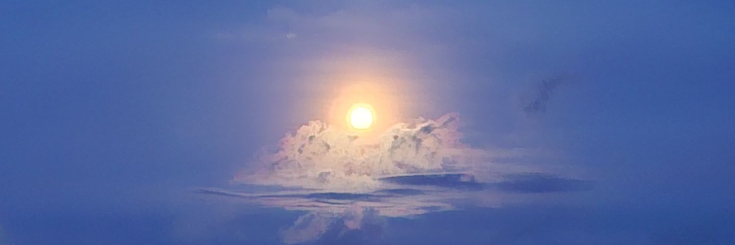 kono kono banner