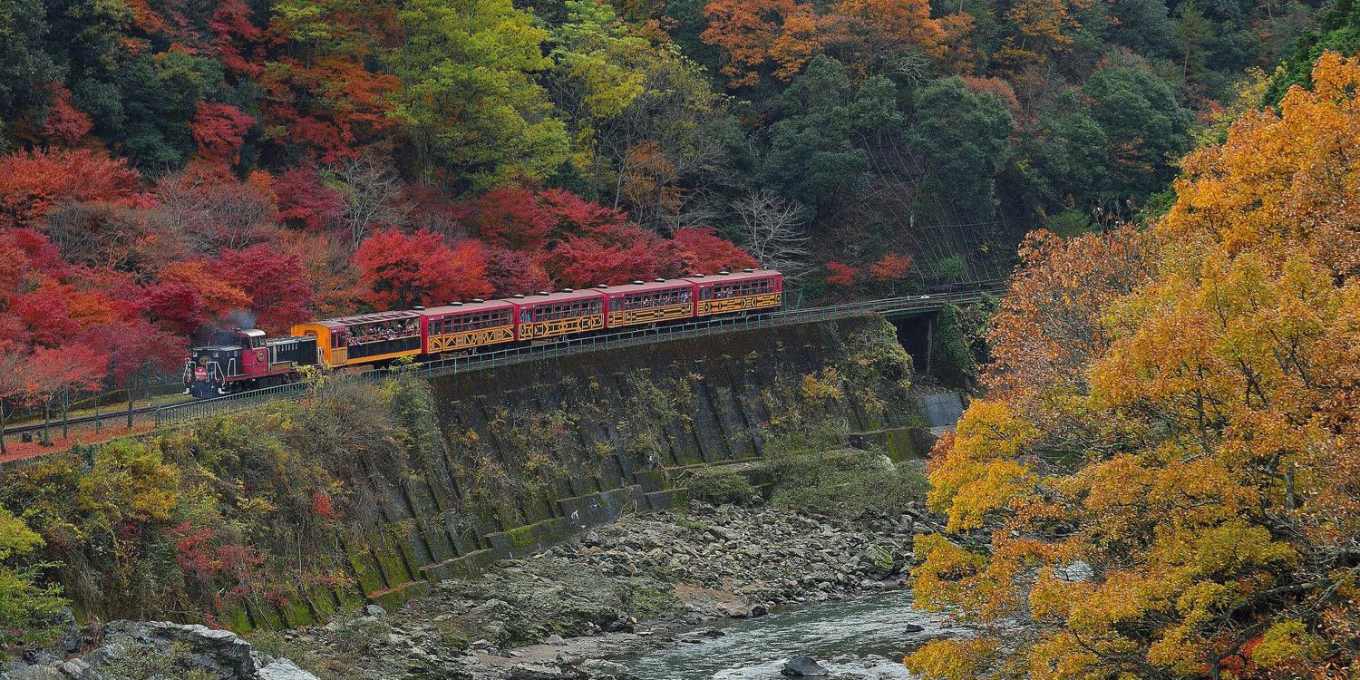 METAIS-BOCQUENET banner