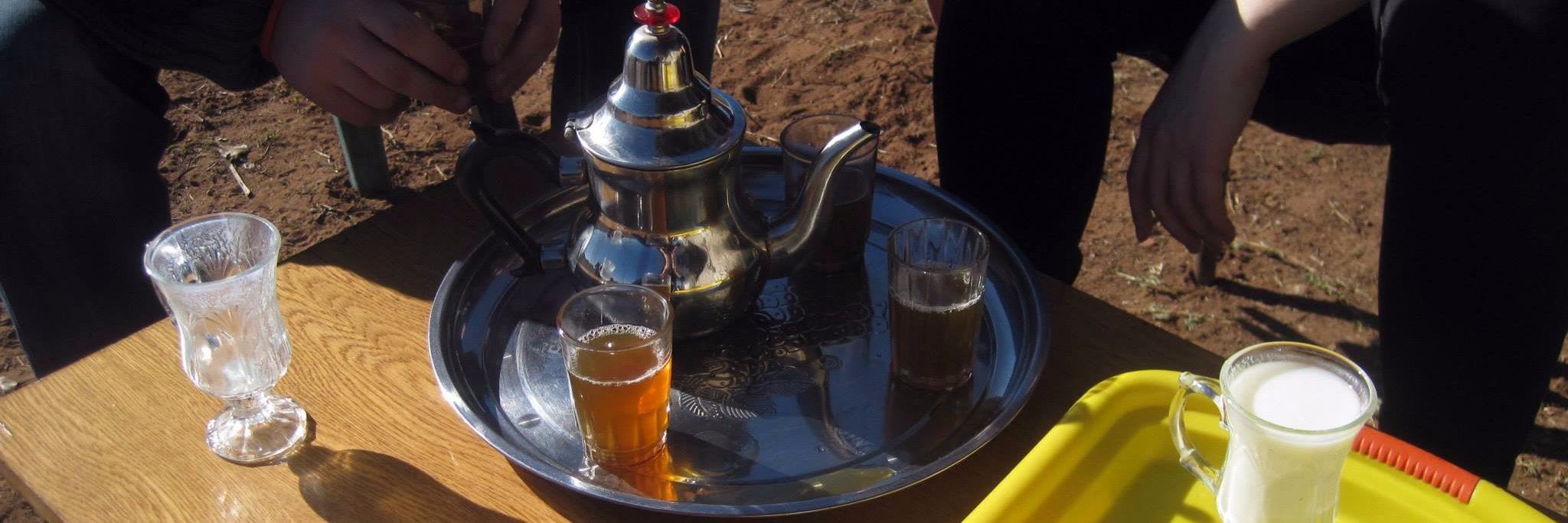 Fanny Cohen Moreau banner