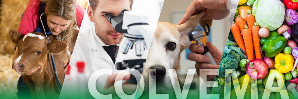 Colegio Oficial de Veterinarios de Madrid banner