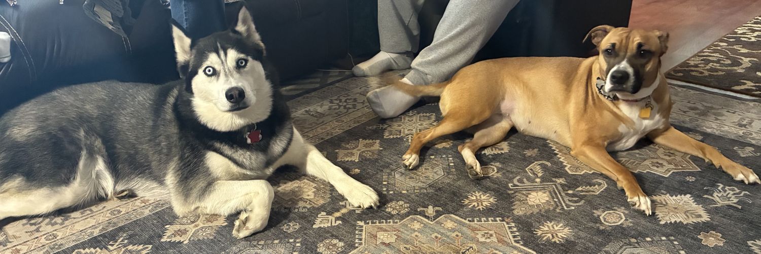 Ryan Van Der Karr banner