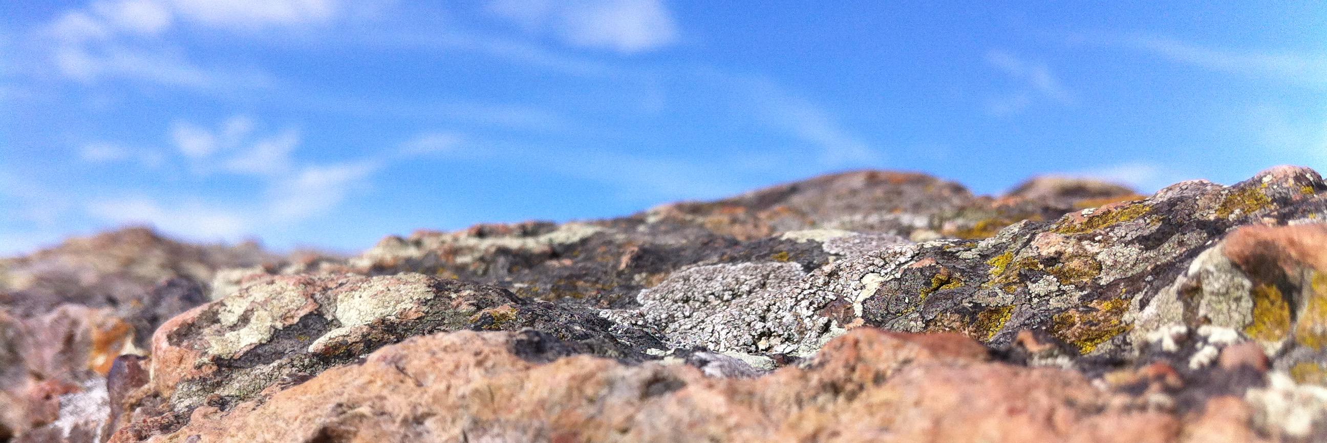 Bloom PR & Comms banner