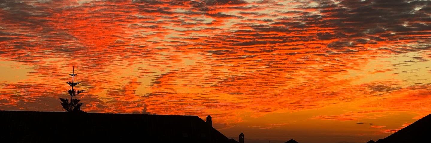 Emma Kate Readman-Thorley banner