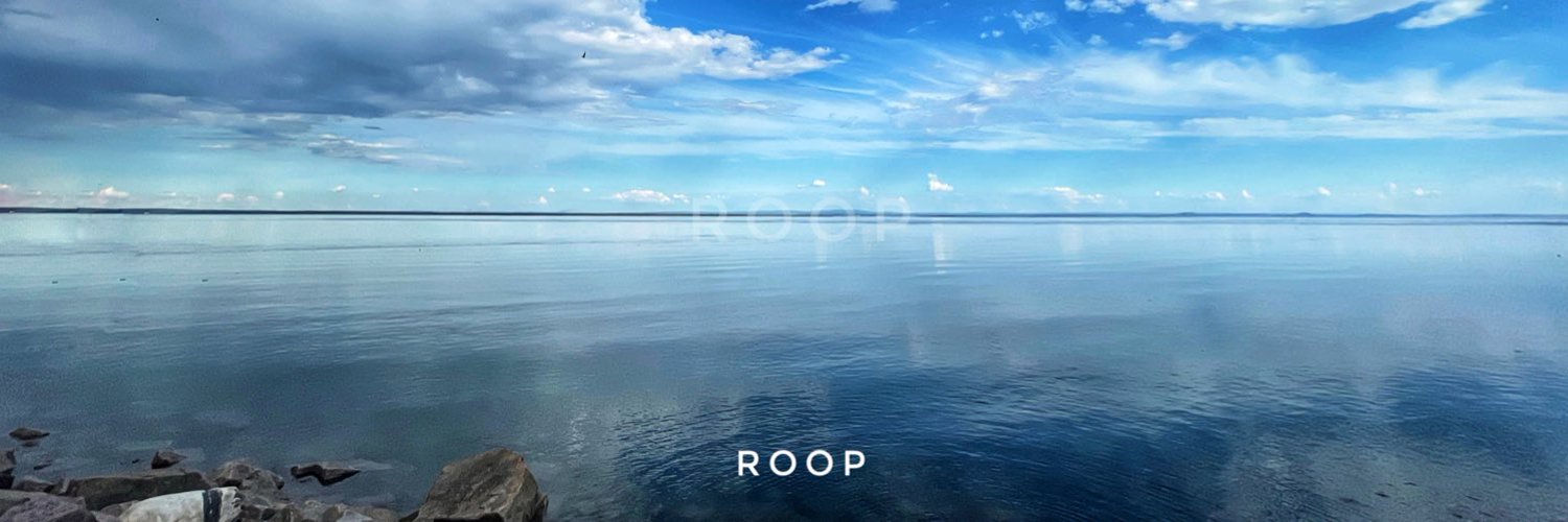 roop Profile Banner