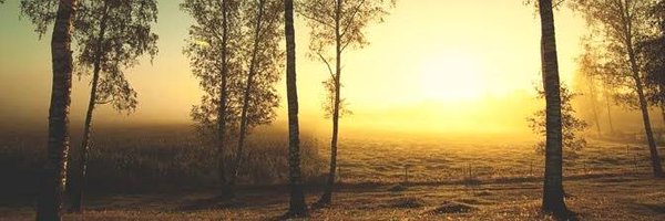 eltalAlain Profile Banner