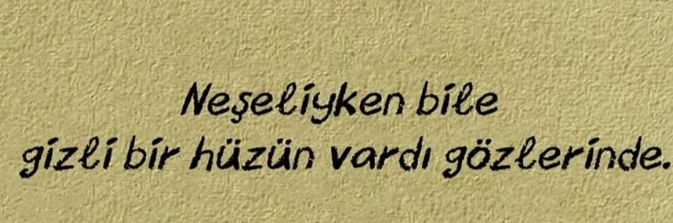 PatikliPenguinn's profile banner image