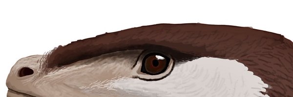 randompaleonerd Profile Banner