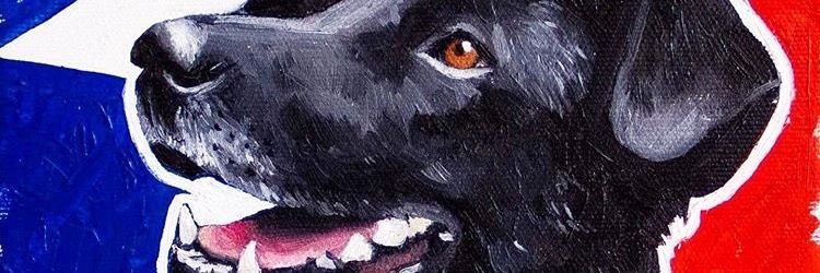 LeoCaroG's profile banner image