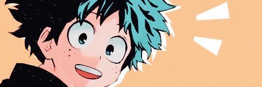 Manz banner
