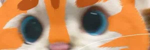 vehmkater Profile Banner