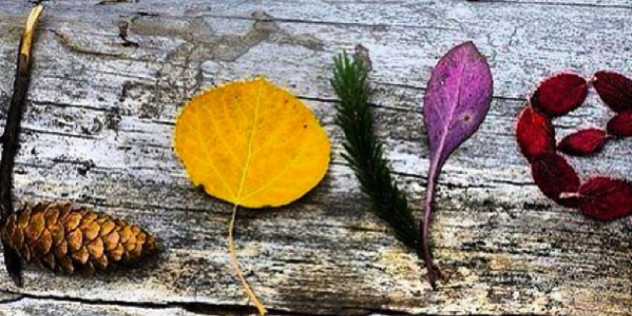 jenny_labb's profile banner image