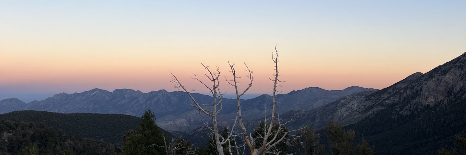 ROC CHAMBERLIN banner