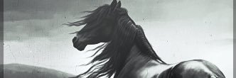 rafoo20131's profile banner image