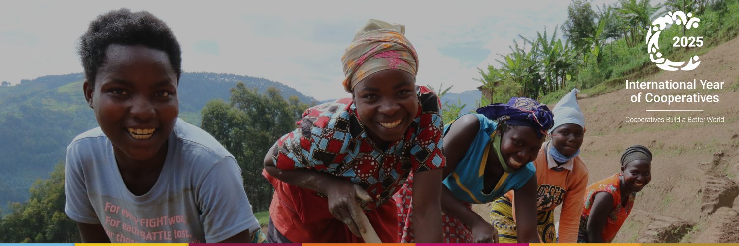 UN For Cooperatives banner