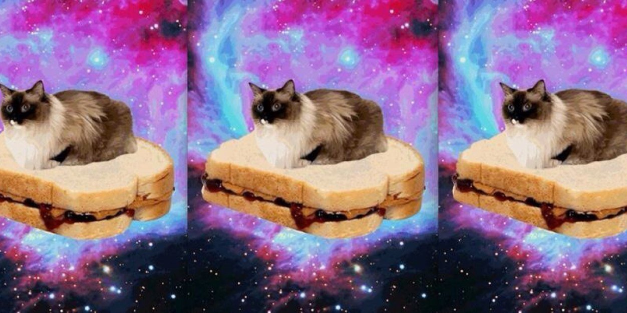 brinnylong's profile banner image