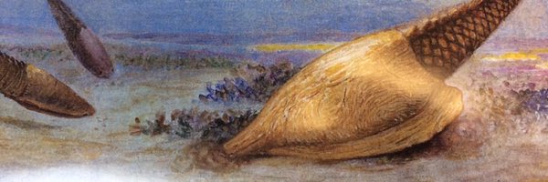 RandleEm Profile Banner