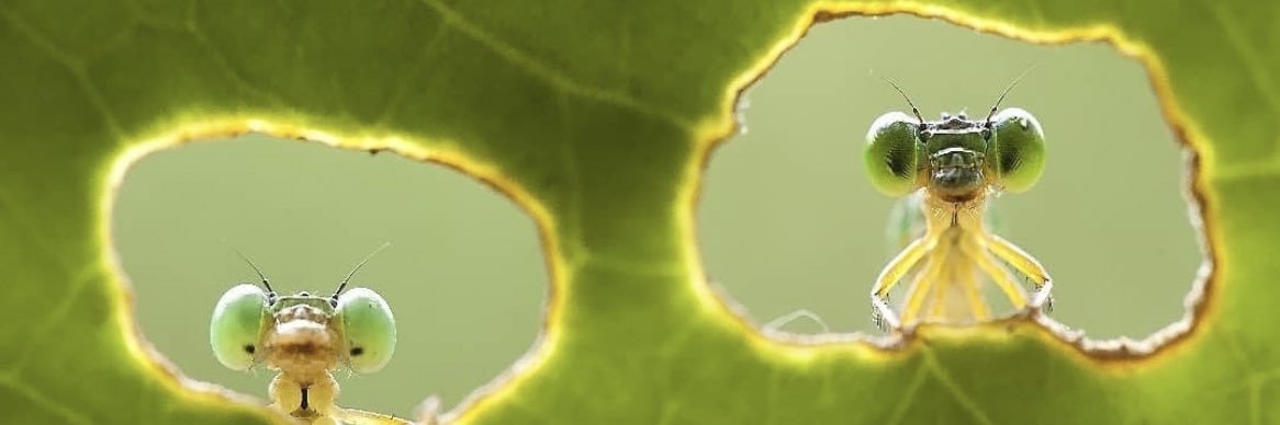 opassima's profile banner image