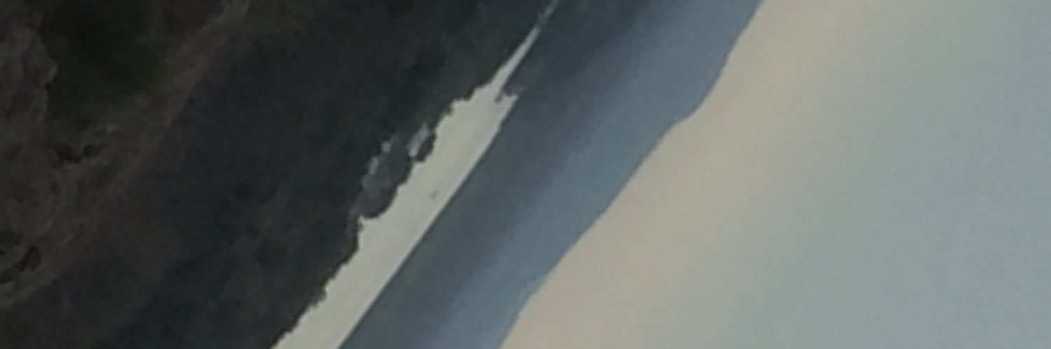 GigEm81's profile banner image