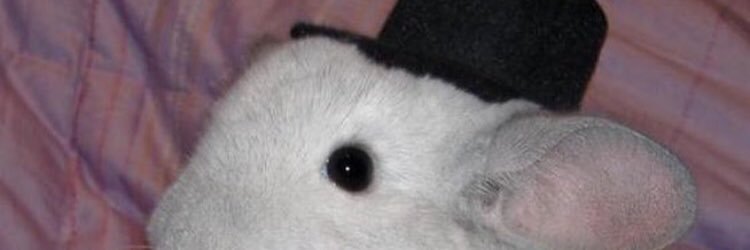 dylanistheworst's profile banner image