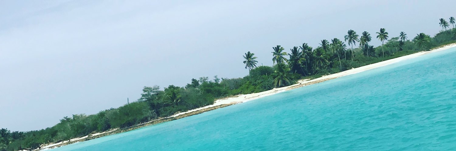 jadeEHz's profile banner image