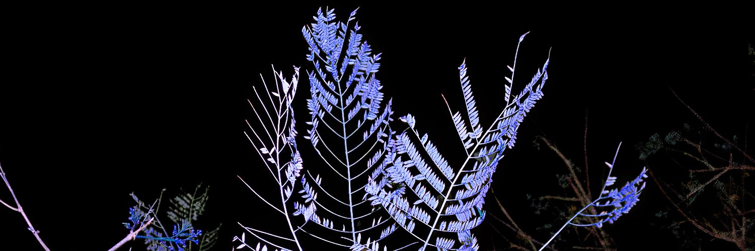 does she queef? banner