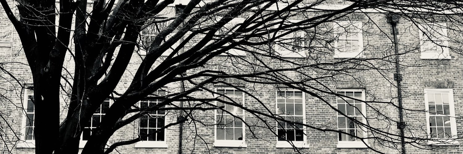 MollAntoni's profile banner image