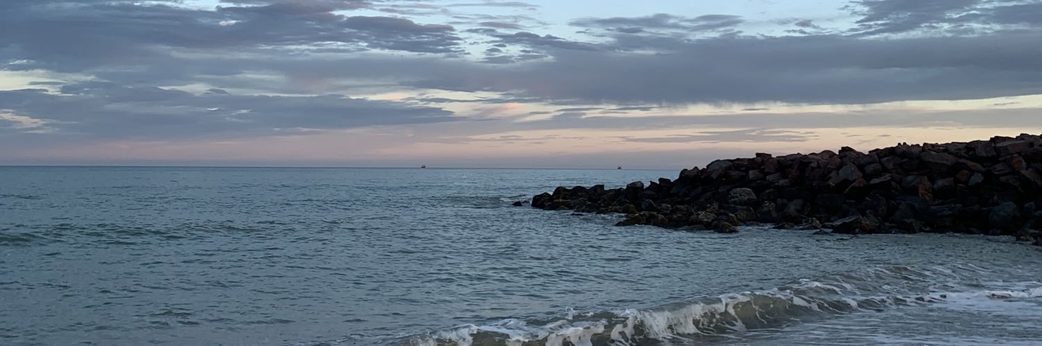 vickymanrique_'s profile banner image