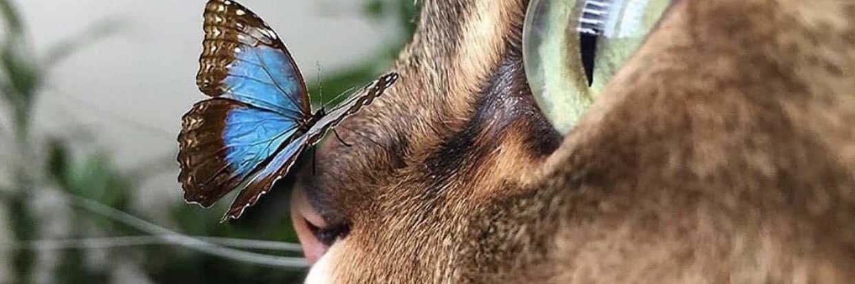 Ingrid94880's profile banner image