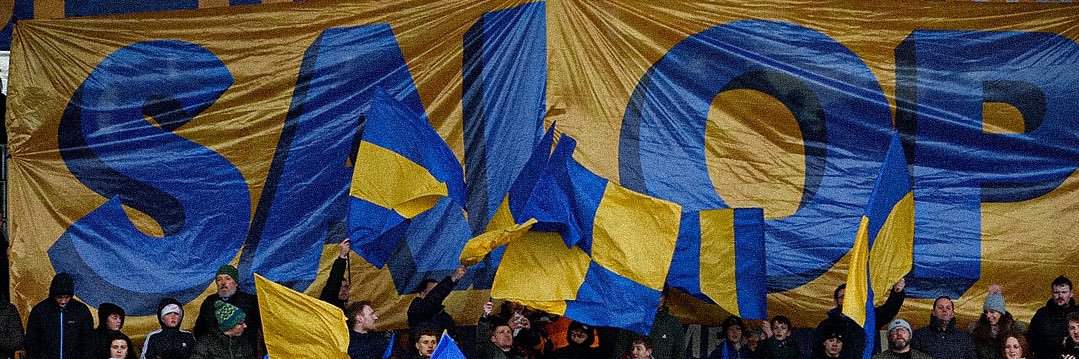 Shrews Analysis banner