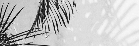 วันเนาว์ (readaily) banner
