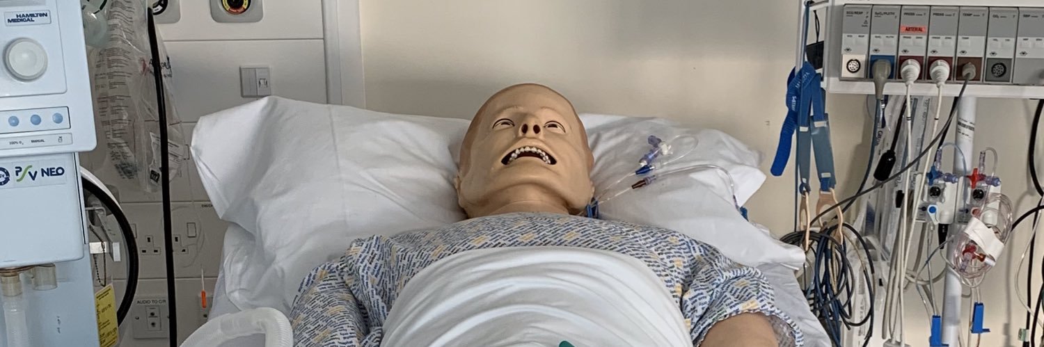 Integrated Education - ESHT Simulation banner