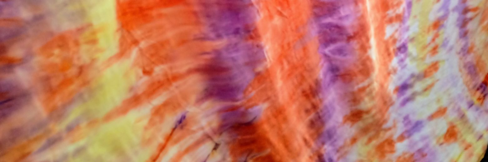 SpeedoMustacheATV banner