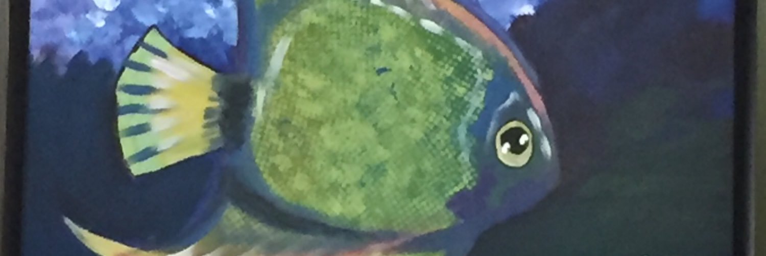 kymobarillas's profile banner image
