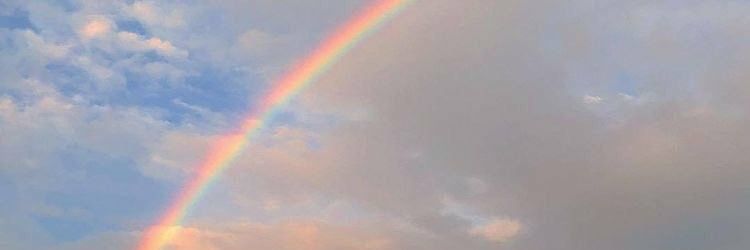 floriraffo's profile banner image