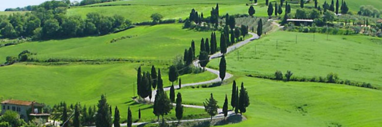 retwitt culturale banner