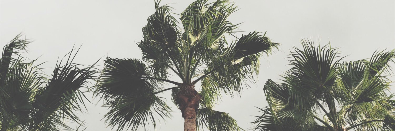 kelsbaron's profile banner image