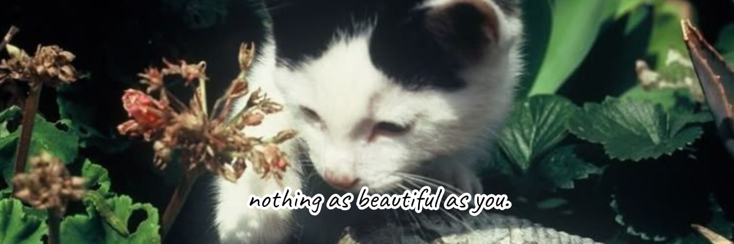 dilla | download scribd & slideshare banner