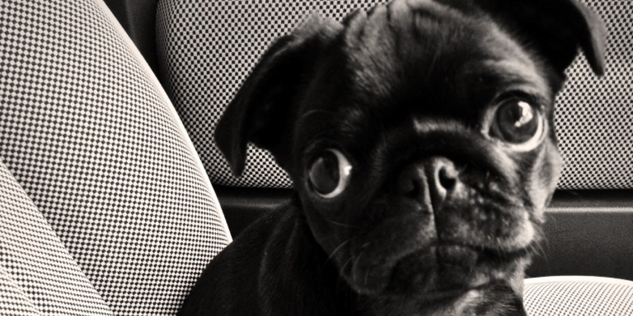 DH_xo's profile banner image