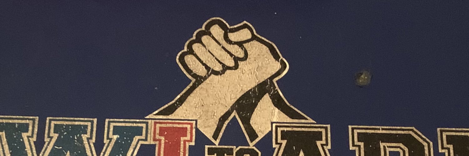 Dolphin ¯\_(ツ)_/¯ banner