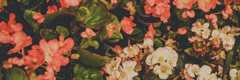 client_lee's profile banner image