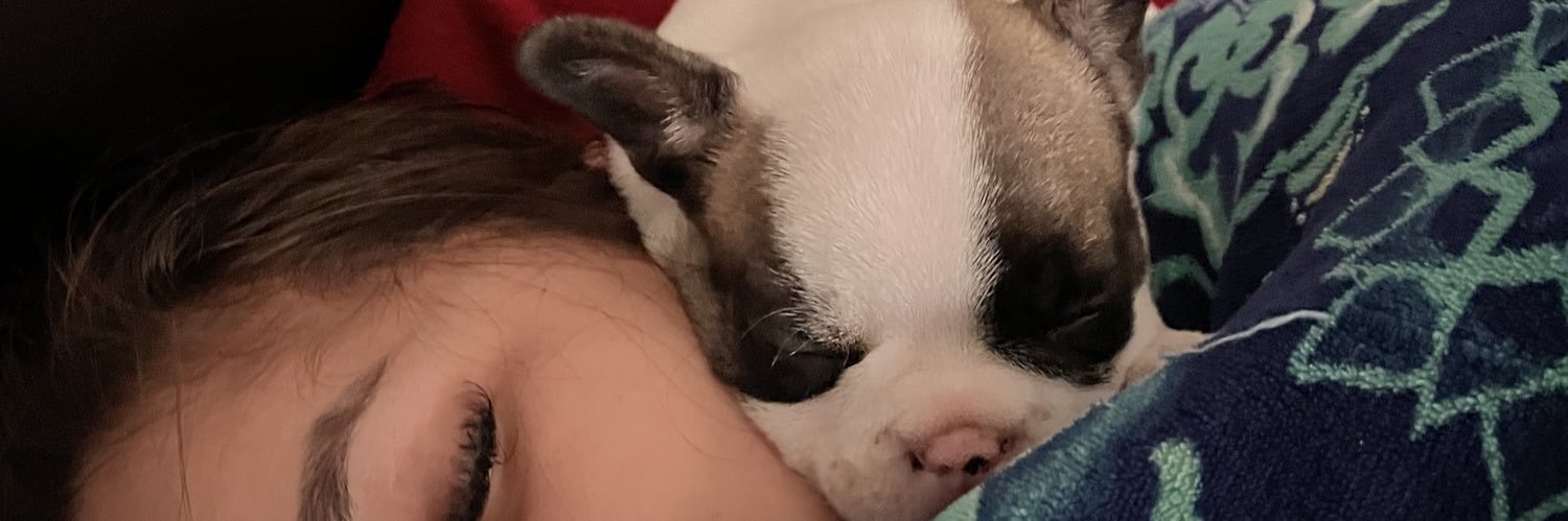 cibeleesilva_'s profile banner image