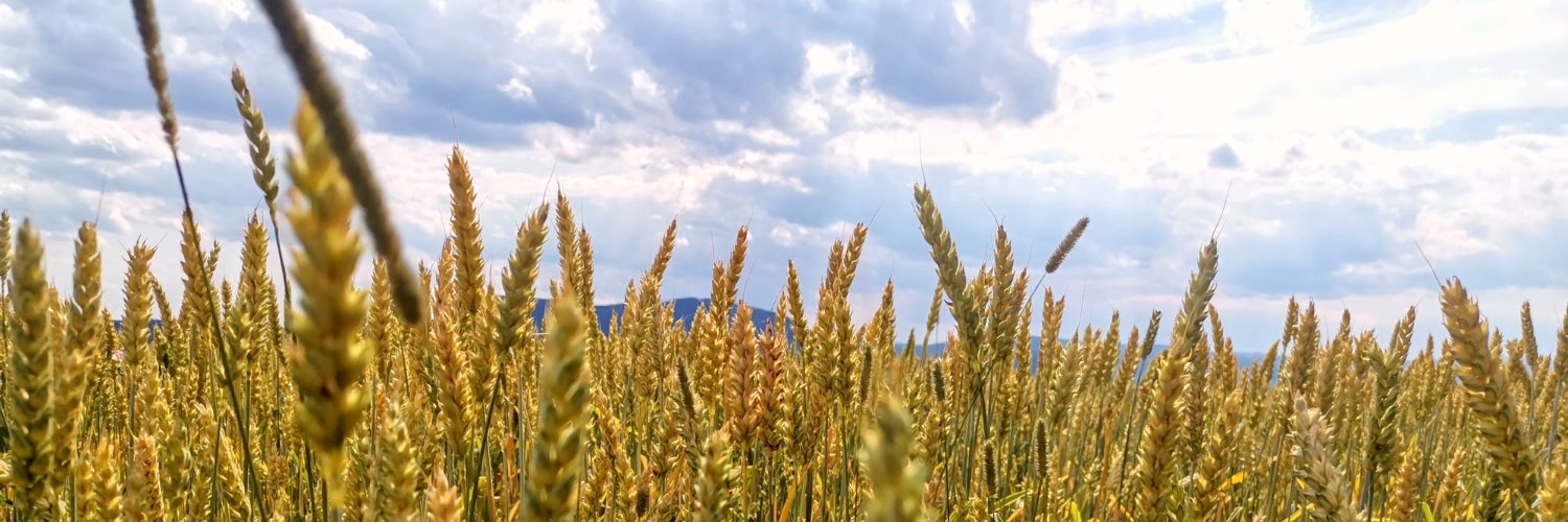 Nick 🇺🇦🇪🇺 banner