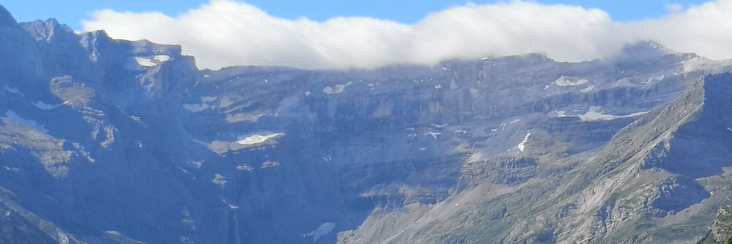 jolartonni's profile banner image