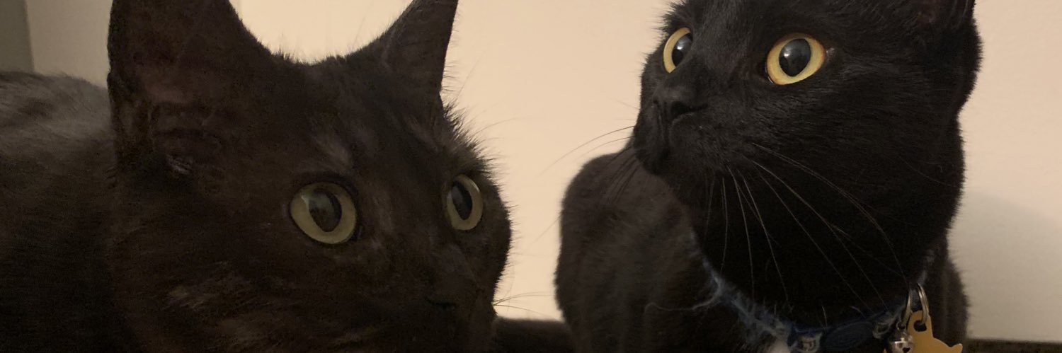 bfreds22's profile banner image